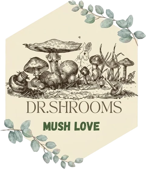 Dr.Shrooms Mush Love logo